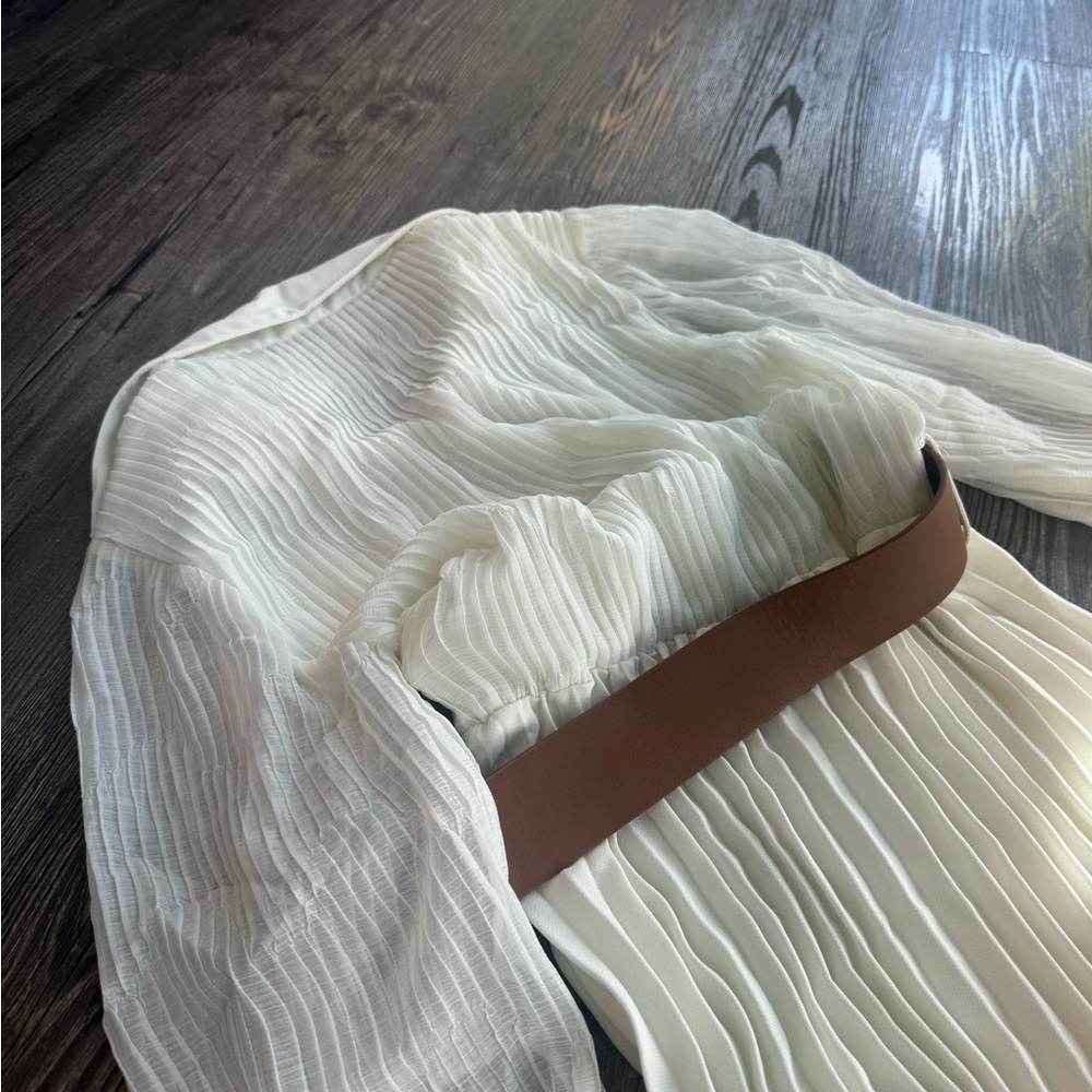 Zara Cream Long Sleeve Pleated Dress - Picture 8 of 8